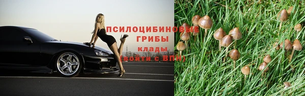 бошки Волосово
