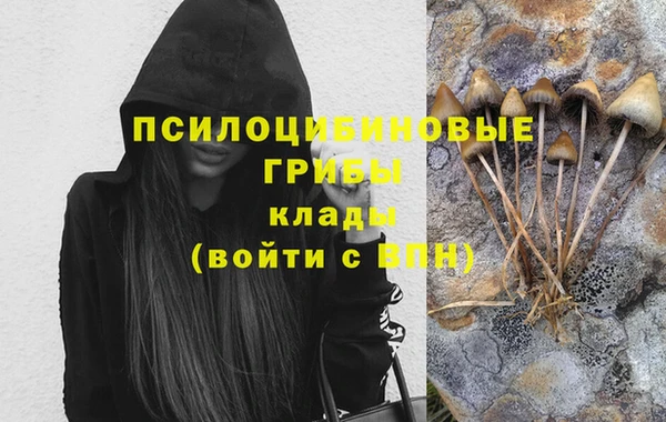 PSILOCYBIN Верхнеуральск