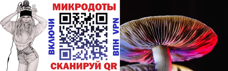 Псилоцибиновые грибы Psilocybine cubensis shop официальный сайт Яхрома